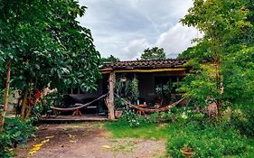Casa Papaki